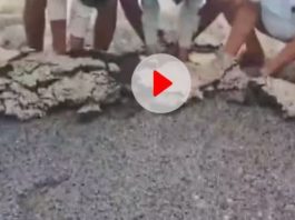 Watch Video : People furious after seeing the quality of road construction in Bokaro, uprooted by hand, video viral