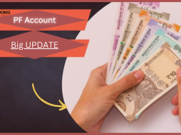 EPFO : Big News! Know important update if money goes to PF, such a figure has come to the fore