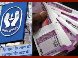 LIC का शानदार प्लान! जिंदगी भर 50,000 रुपये की पेंशन पाने के लिए सिर्फ एक बार जमा करना होगा पैसा - तुरंत चेक करें डिटेल्स