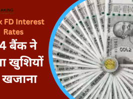 Bank FD Interest Rates : ये 4 बैंक ने खोला खुशियों का खजाना! FD पर दे रहे है ज्यादा ब्याज...चेक करे सभी का ब्याज दर