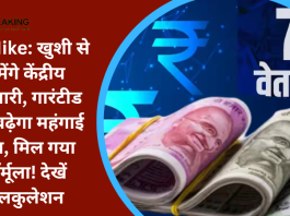 DA Hike : केंद्रीय कर्मचारियों की हो गई बल्ले बल्ले! गारंटीड 4% बढ़ेगा महंगाई भत्ता, सरकार ने बनाया ये प्लान