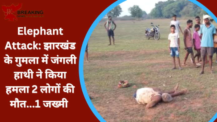 Elephant Attack: झारखंड के गुमला में जंगली हाथी ने किया हमला 2 लोगों की मौत...1 जख्मी