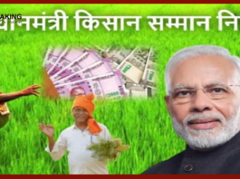 PM Kisan scheme : झारखंड के सिर्फ 42 % लोगों को मिलता है PM Kisan का लाभ....जाने क्यों