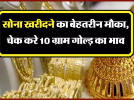 PNB दे रहा बाजार से सस्ता सोना खरीदने का मौका! सिर्फ इतना है10 ग्राम का भाव...जानें कैसे ले सकते हैं फायदा
