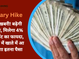 Salary Hike : खुशखबरी! बढ़ेगी सैलरी, मिलेगा 4% इंक्रीमेंट का फायदा, 3 दिन में खाते में आ जाएगा इतना पैसा
