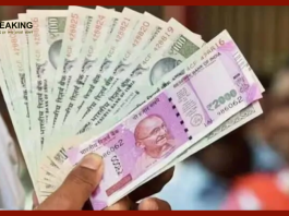FD Interest Rates: These 3 banks have revised FD rates, you will get interest up to 8.25%