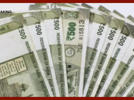 SSY Interest Rate Fixed: Government fixed interest rates of Sukanya Yojana till 31st December, know everything