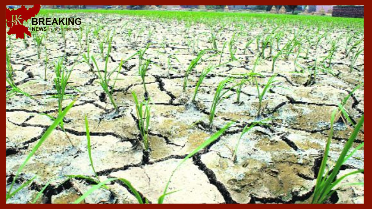 Jharkhand Weather Update : Big News! 46% less rainfall in Jharkhand so far, if it does not rain for 15 days, there will be drought Jharkhand Weather Update : Big News! 46% less rainfall in Jharkhand so far, if it does not rain for 15 days, there will be drought