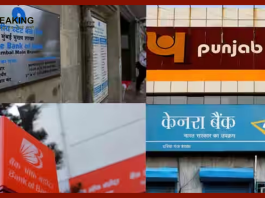 Public Sector Bank Profit : 11 government banks of the country made a record, customers of SBI-PNB-BOM will also be happy