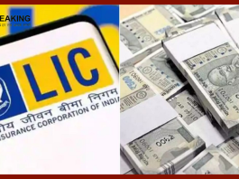 Loan Against LIC Policy: You can easily get a loan against LIC policy; How to apply and what is the complete process?