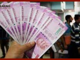 PPF Scheme : Make crores of funds by investing in Post Office's PPF scheme! Know the special trick of investment