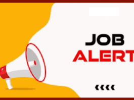 Jharkhand High Court Vacancy 2024: Government jobs for graduates here, recruitment will be direct