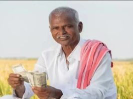 Government schemes: These government schemes are great for farmers, this is how you can avail the benefits