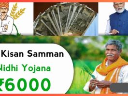 PM Kisan Yojana : Farmers will get 6000 rupees under this scheme, know how to apply