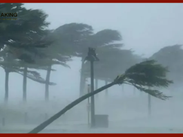 Jharkhand Weather Today : People of Jharkhand beware! Storm, hurricane... there will be torrential rain in these districts, IMD alert issued