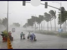 Heavy Rain Alert: Warning- A big Dust Storm Alert has also been issued along with heavy rain today