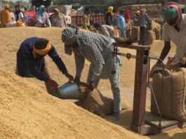 Good news for farmers! Now you will get full money as soon as you sell paddy, Jharkhand government has changed this old system