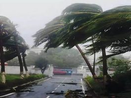 Jharkhand Rain Alert : Monsoon will take a dangerous form in Jharkhand, weather will show its fierce form in Gumla, Ranchi today, IMD alert