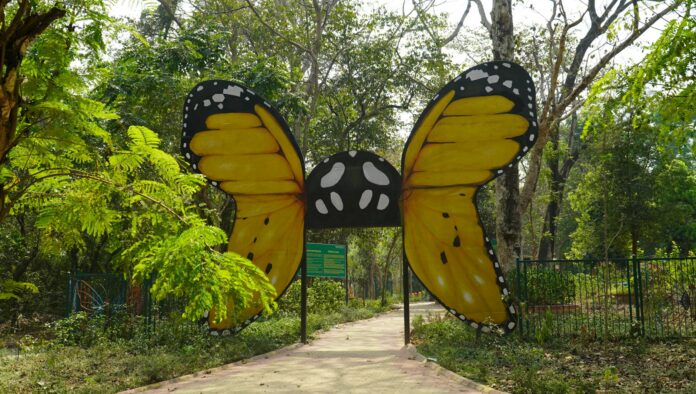 जमशेदपुर में 45 डॉक्टरों को नोटिस जारी