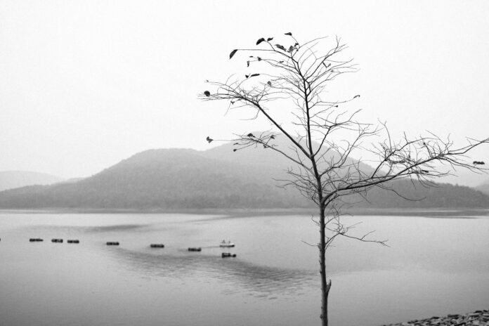 RS: BJP MP attacks Soren govt over sacrificial killing of girl in Jharkhand - The News Minute